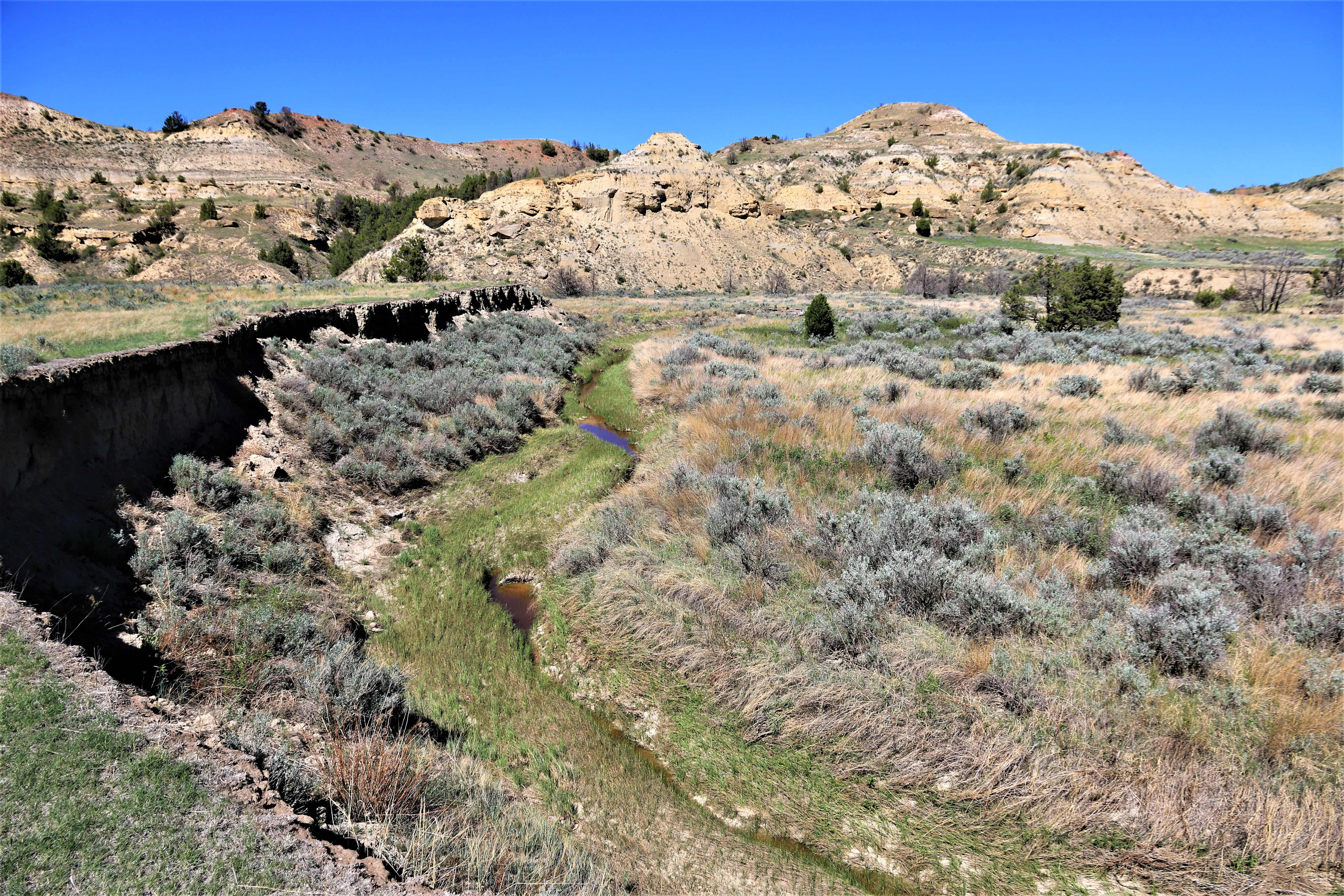 Theodore Roosevelt NP